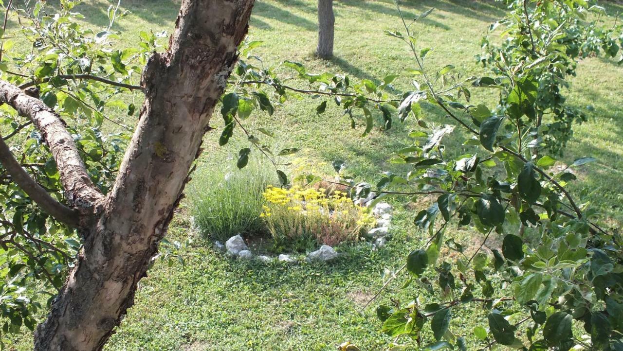 Guest House Ema Grabovac  Exterior photo
